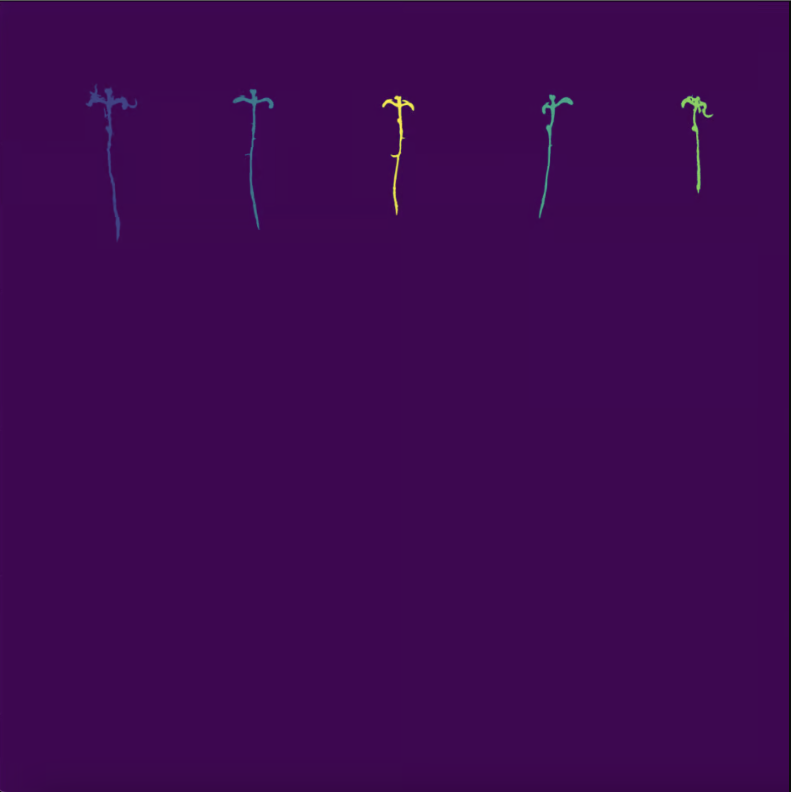 NPEC - Instance Segmentation In Plant Root Measuring